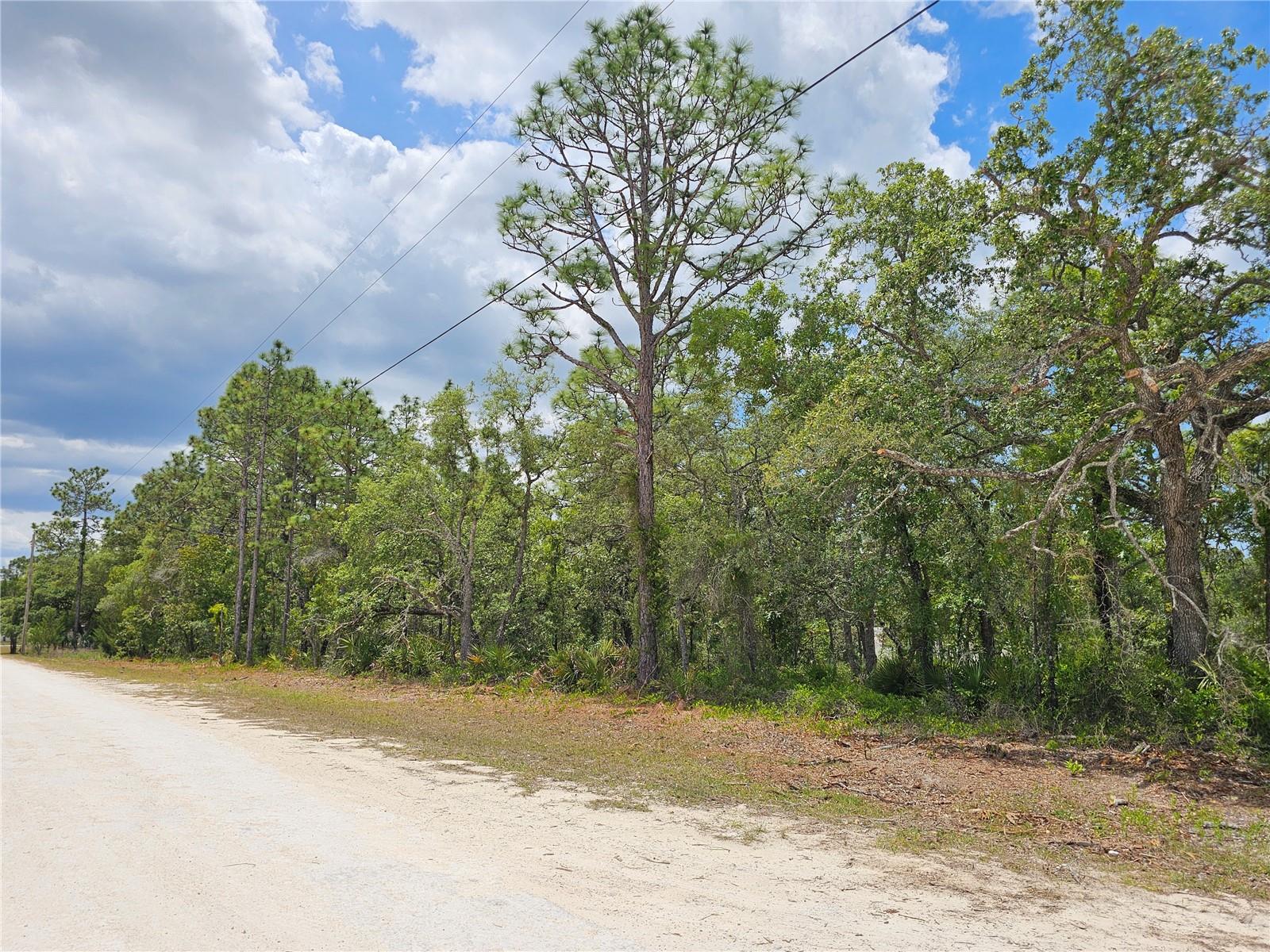 0 SONG SPARROW AVE, WEEKI WACHEE, FL, 34614