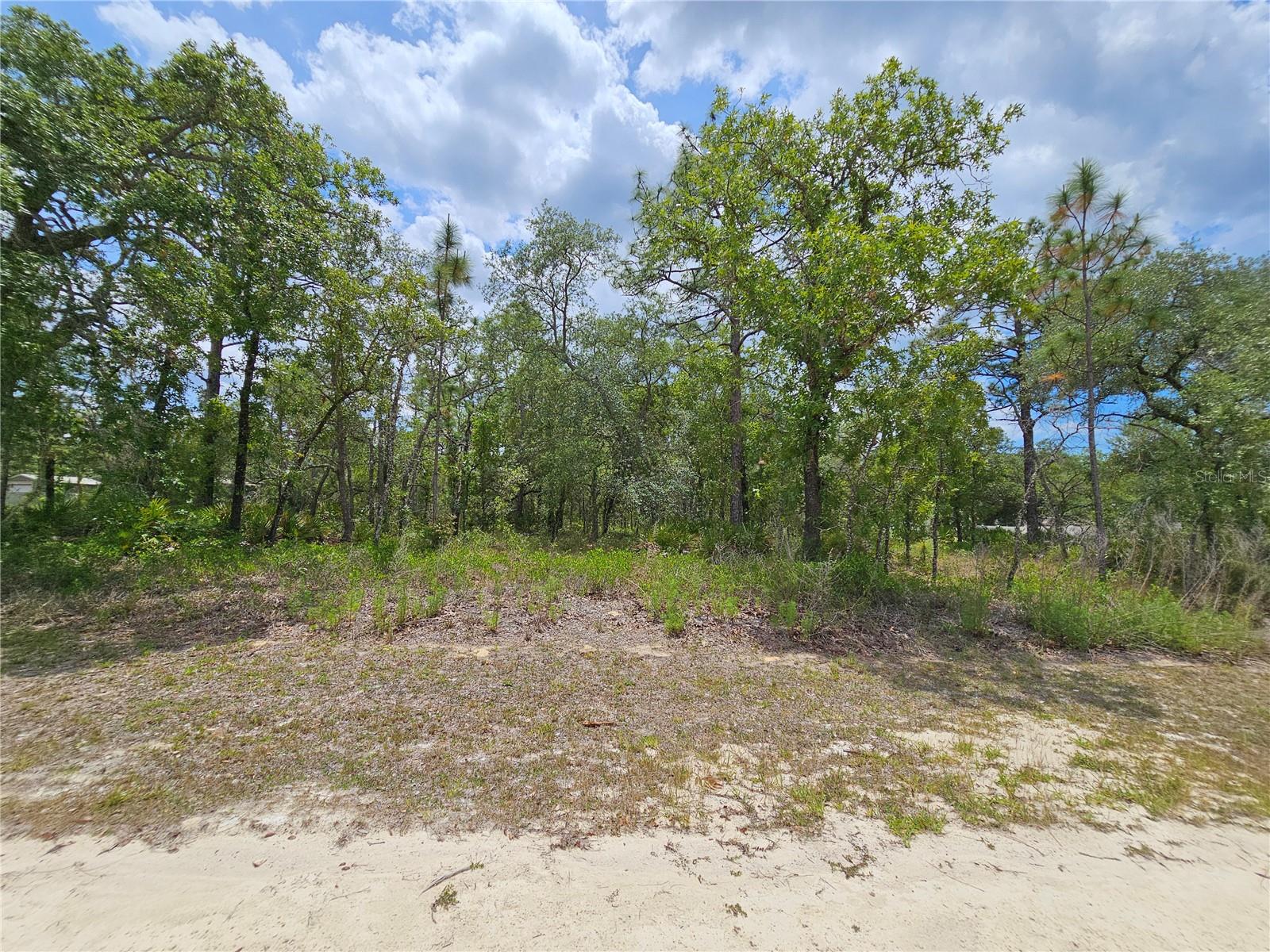 0 SONG SPARROW AVE, WEEKI WACHEE, FL, 34614