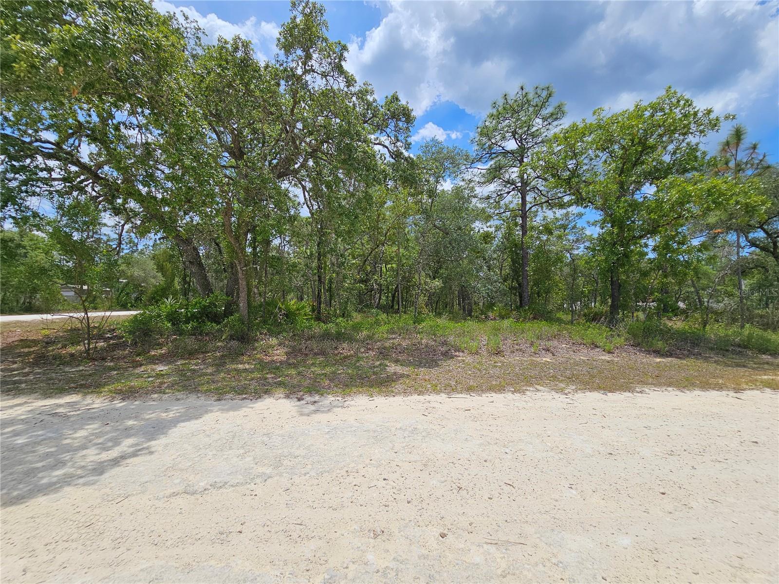 0 SONG SPARROW AVE, WEEKI WACHEE, FL, 34614