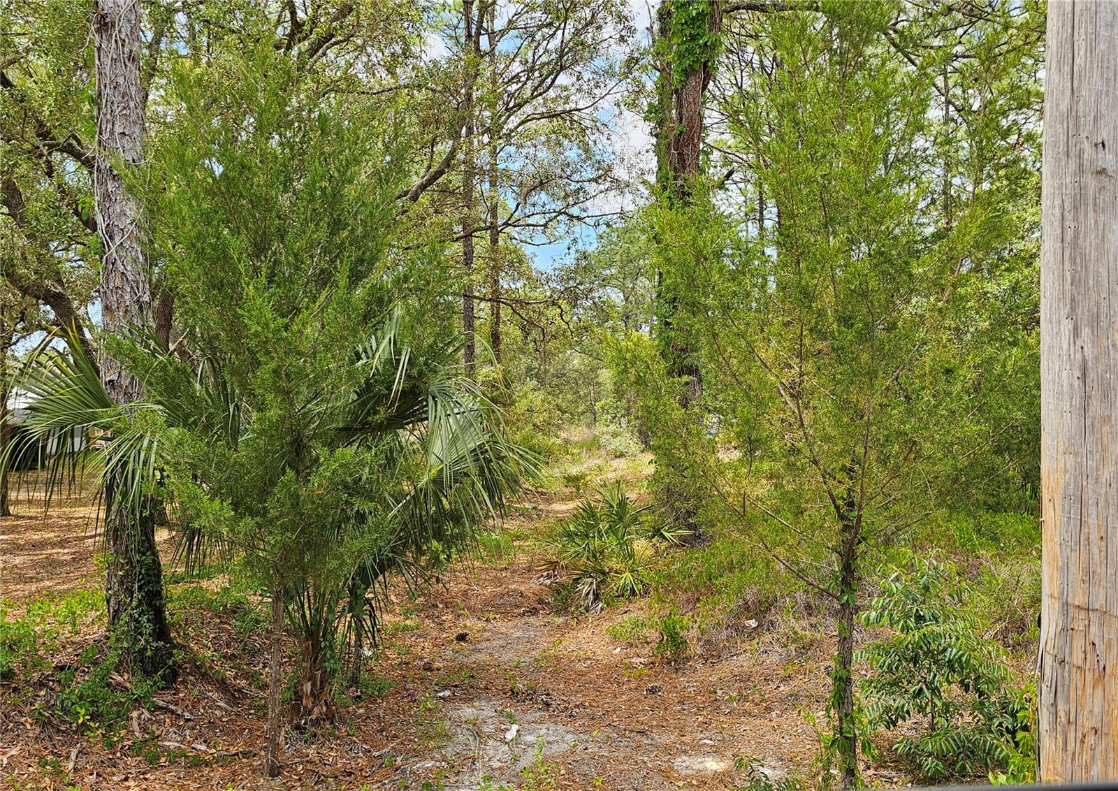 0 SONG SPARROW AVE, WEEKI WACHEE, FL, 34614