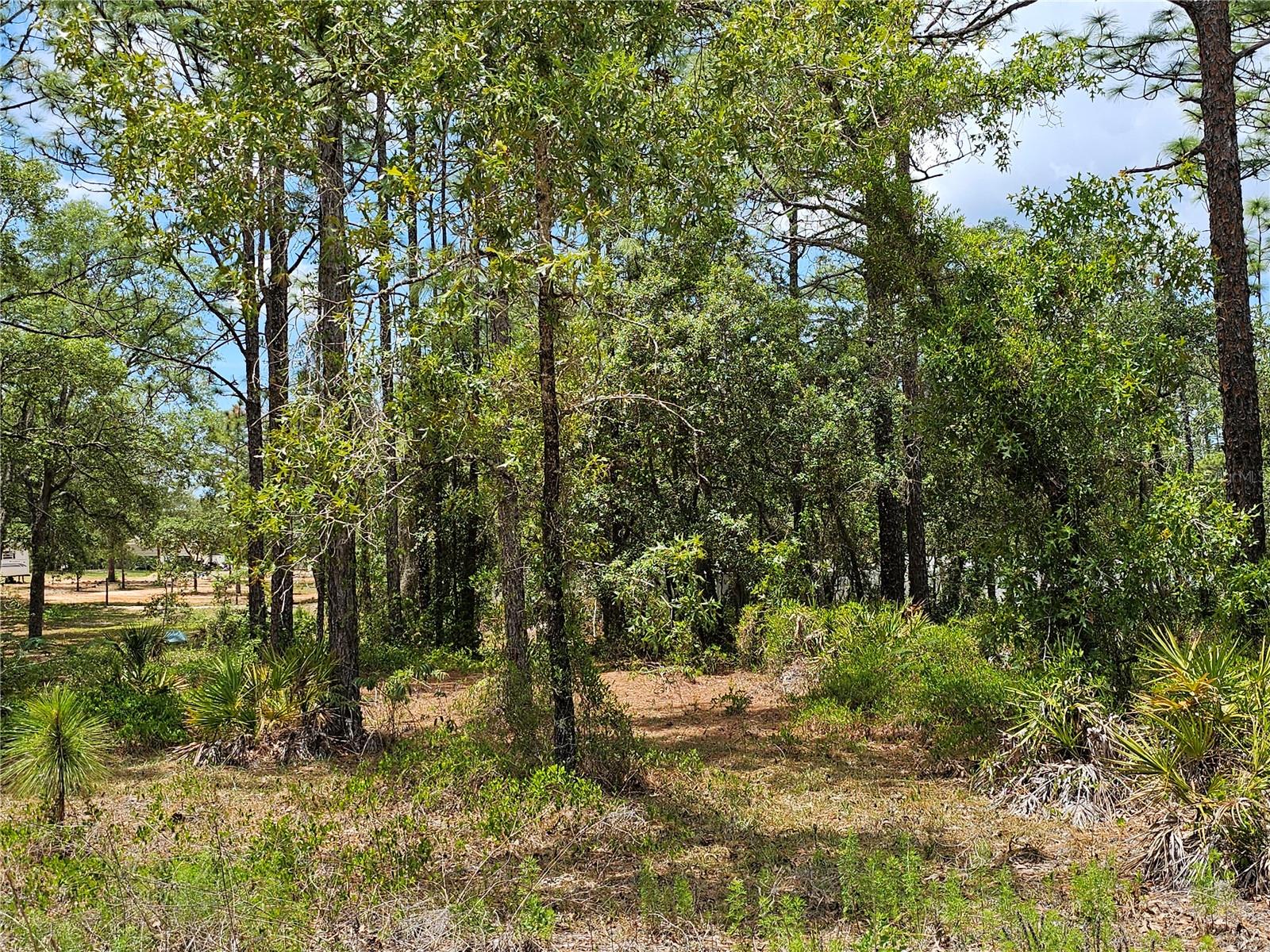 0 SONG SPARROW AVE, WEEKI WACHEE, FL, 34614