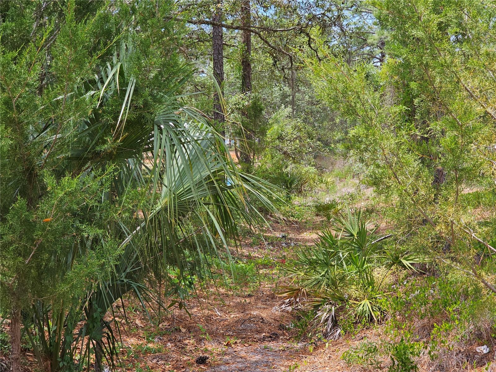 0 SONG SPARROW AVE, WEEKI WACHEE, FL, 34614