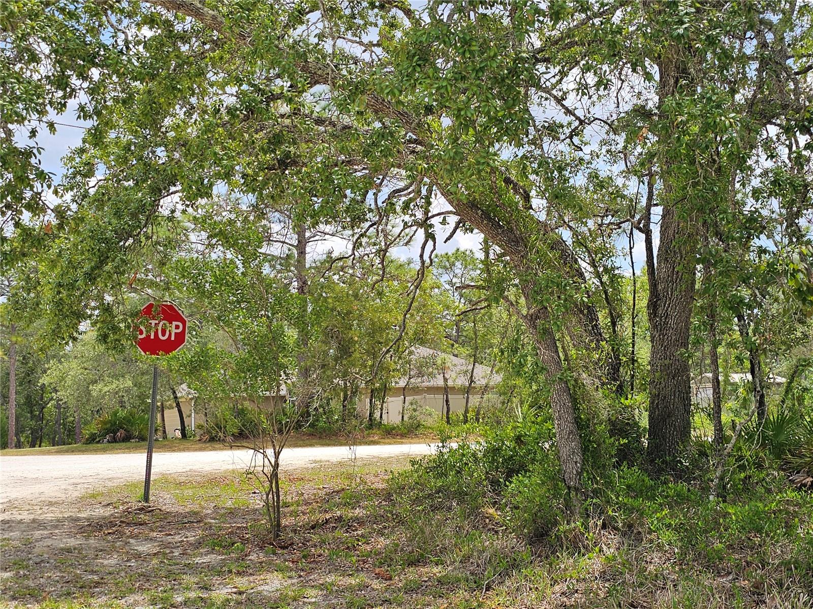 0 SONG SPARROW AVE, WEEKI WACHEE, FL, 34614