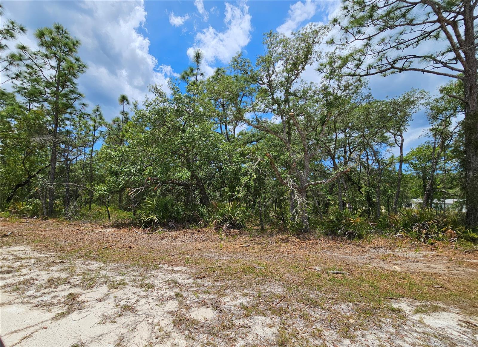 0 SONG SPARROW AVE, WEEKI WACHEE, FL, 34614