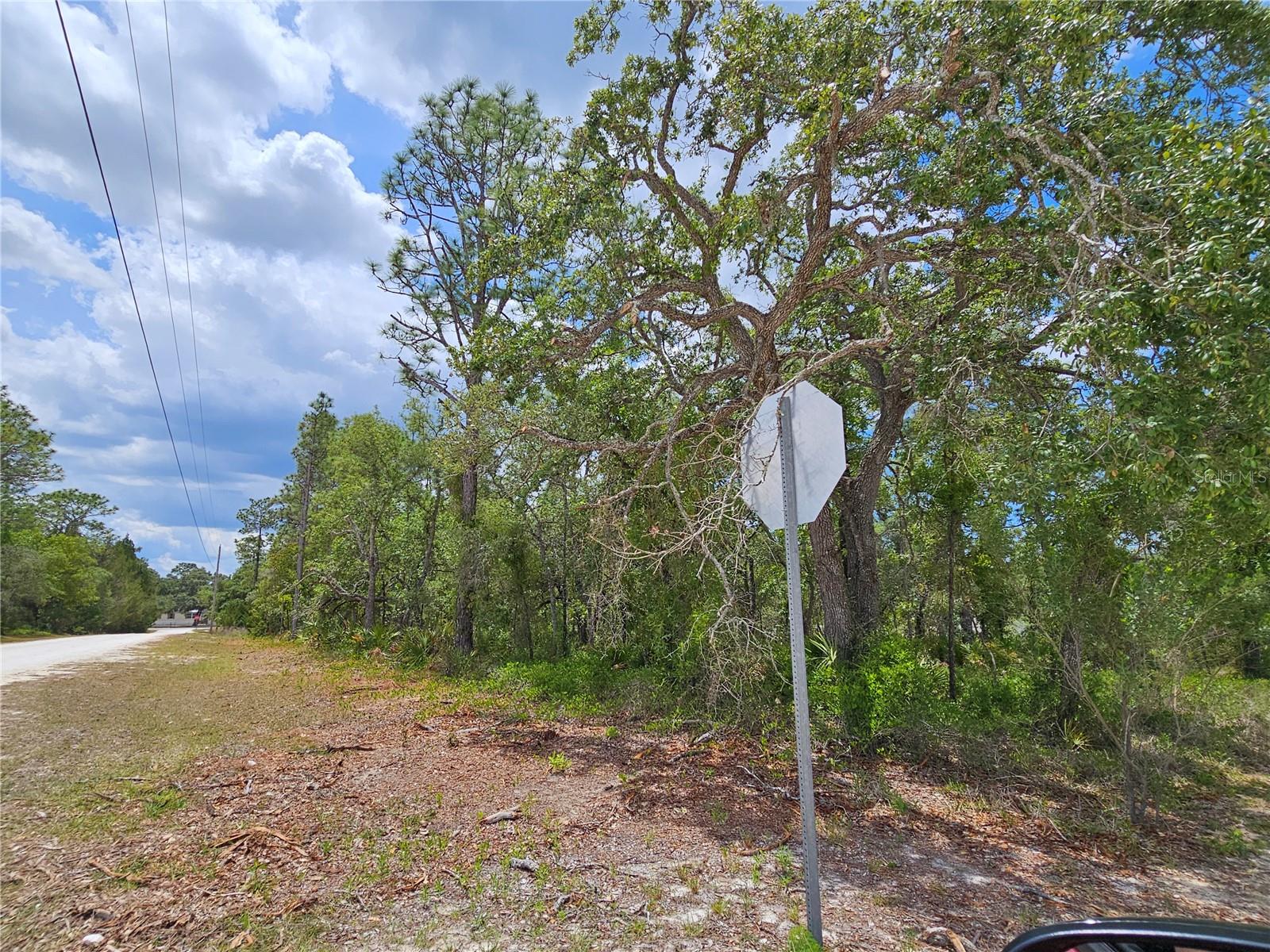 0 SONG SPARROW AVE, WEEKI WACHEE, FL, 34614