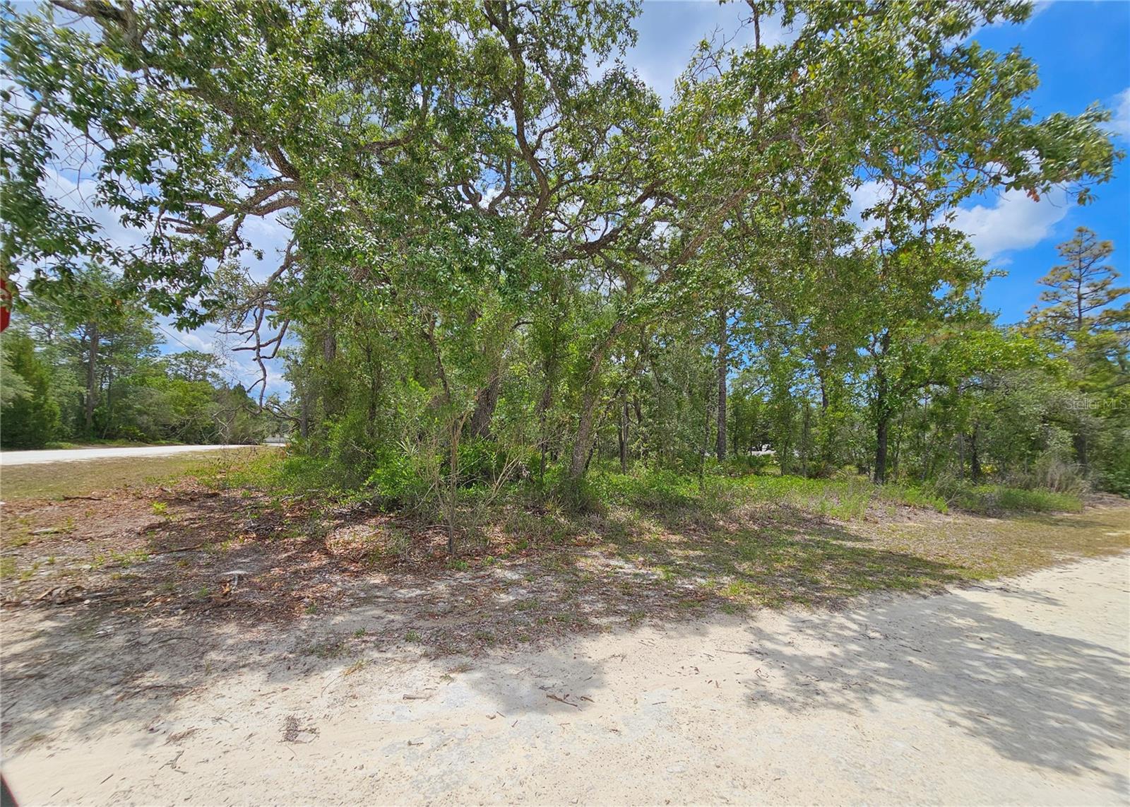 0 SONG SPARROW AVE, WEEKI WACHEE, FL, 34614