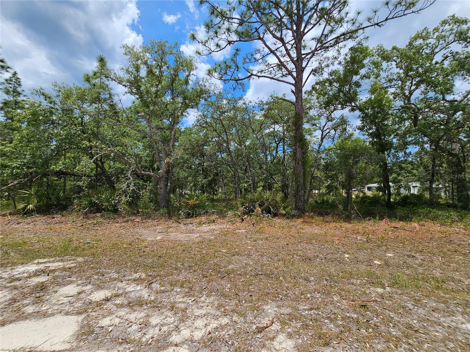 0 SONG SPARROW AVE, WEEKI WACHEE, FL, 34614