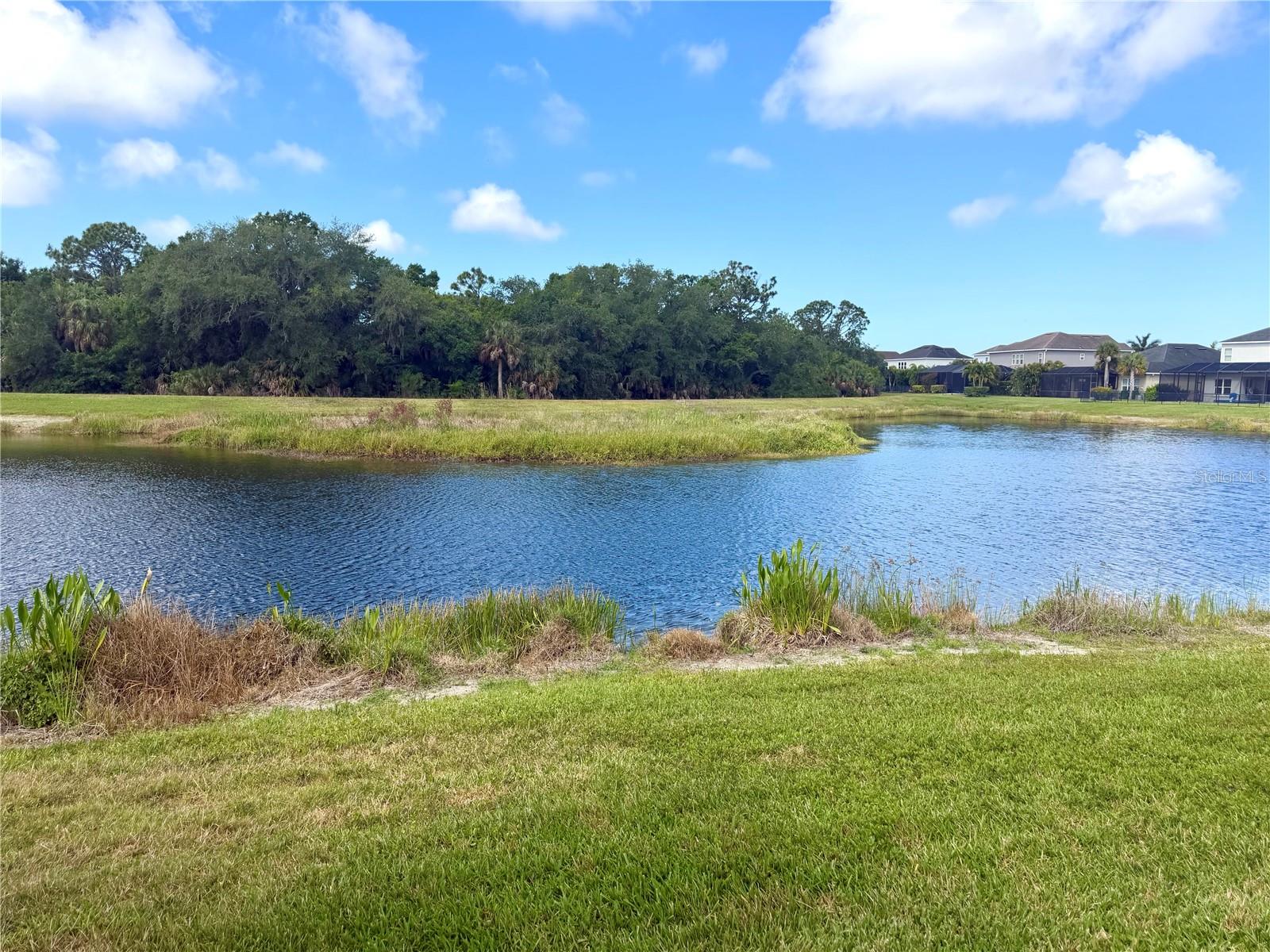 7229 MONARDA DR, SARASOTA, FL, 34238