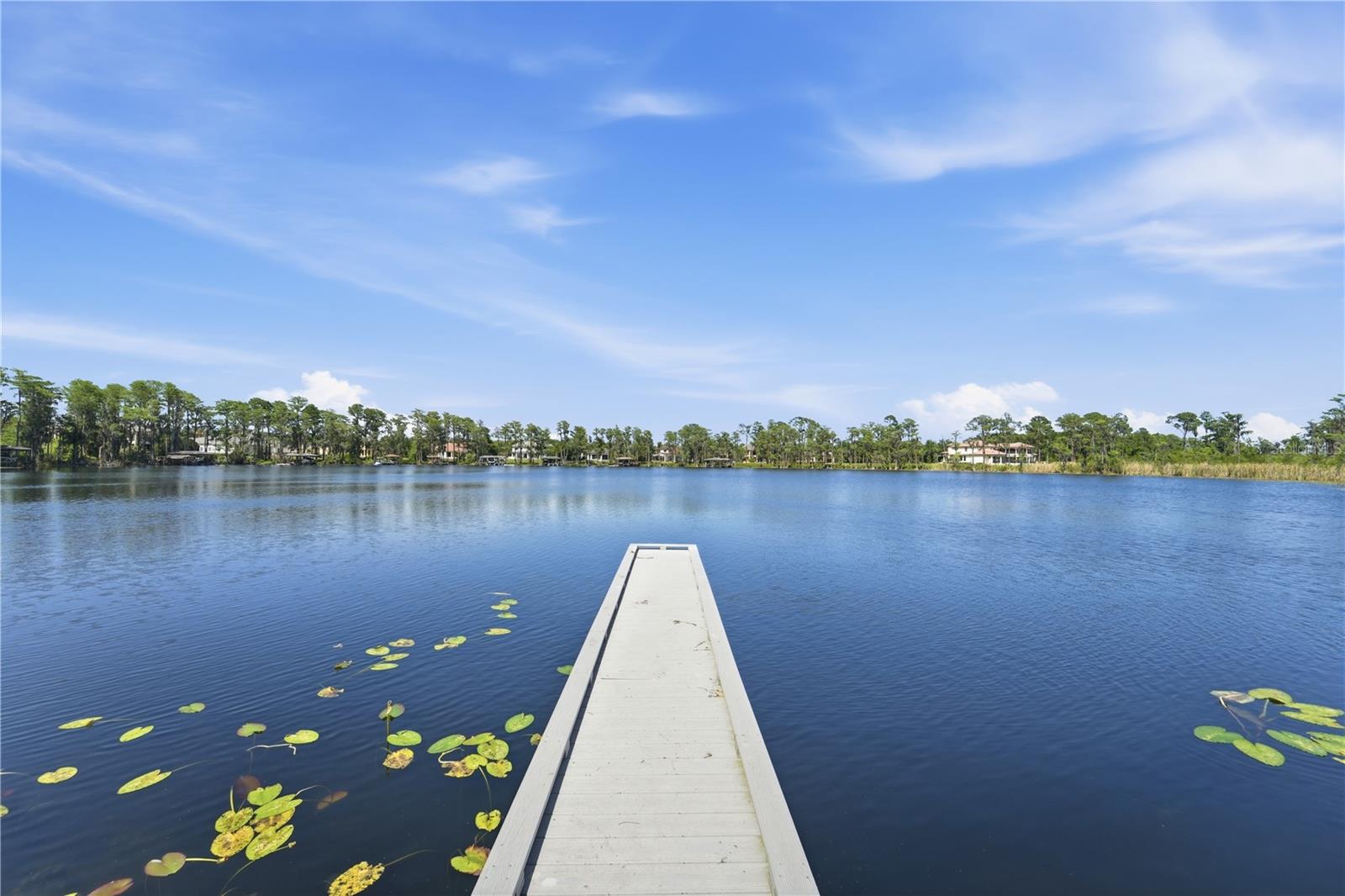 9222 TIBET POINTE CIR, WINDERMERE, FL, 34786