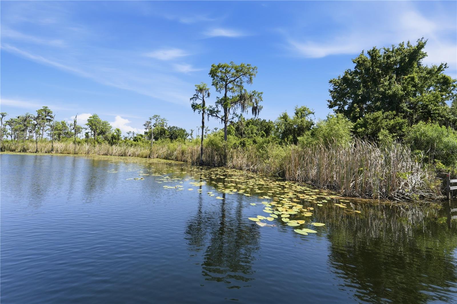 9222 TIBET POINTE CIR, WINDERMERE, FL, 34786