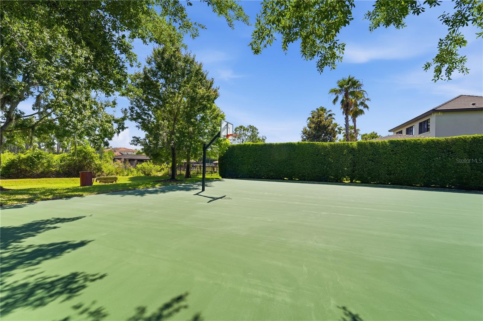 9222 TIBET POINTE CIR, WINDERMERE, FL, 34786