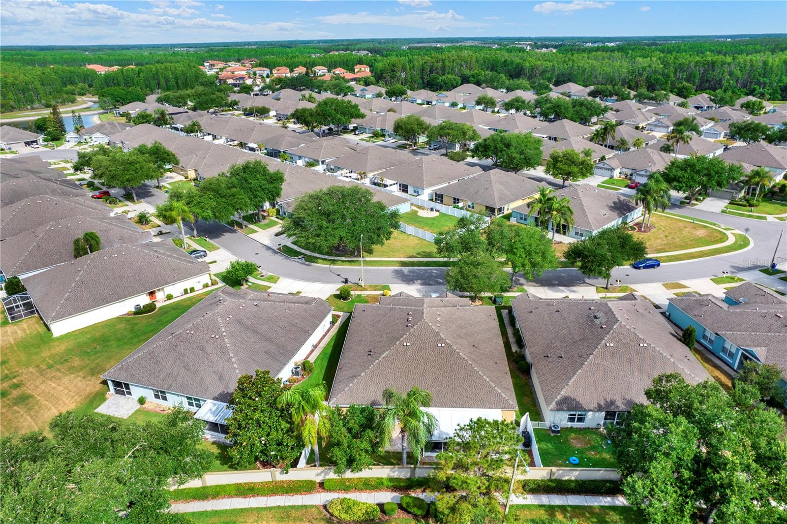 19428 HASKELL PL, LAND O LAKES, FL, 34638