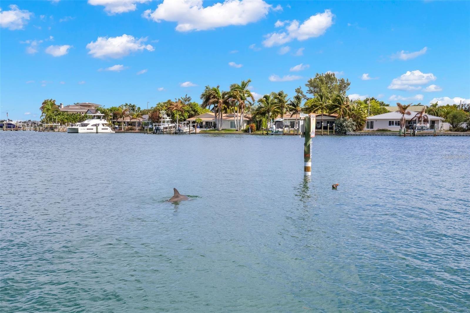 9825 HARRELL AVE #404, TREASURE ISLAND, FL, 33706