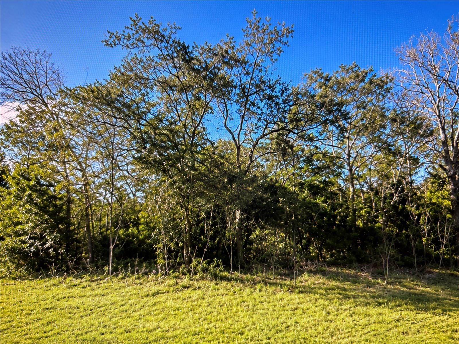 143 PL, OCALA, FL, 34473