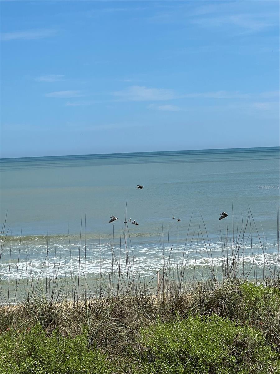 59 FLAGLER DR, PALM COAST, FL, 32137