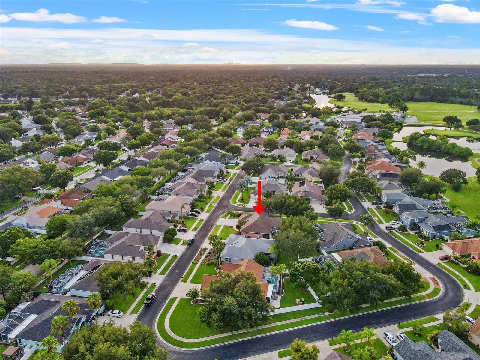 1525 CROOKED STICK DR, VALRICO, FL, 33596