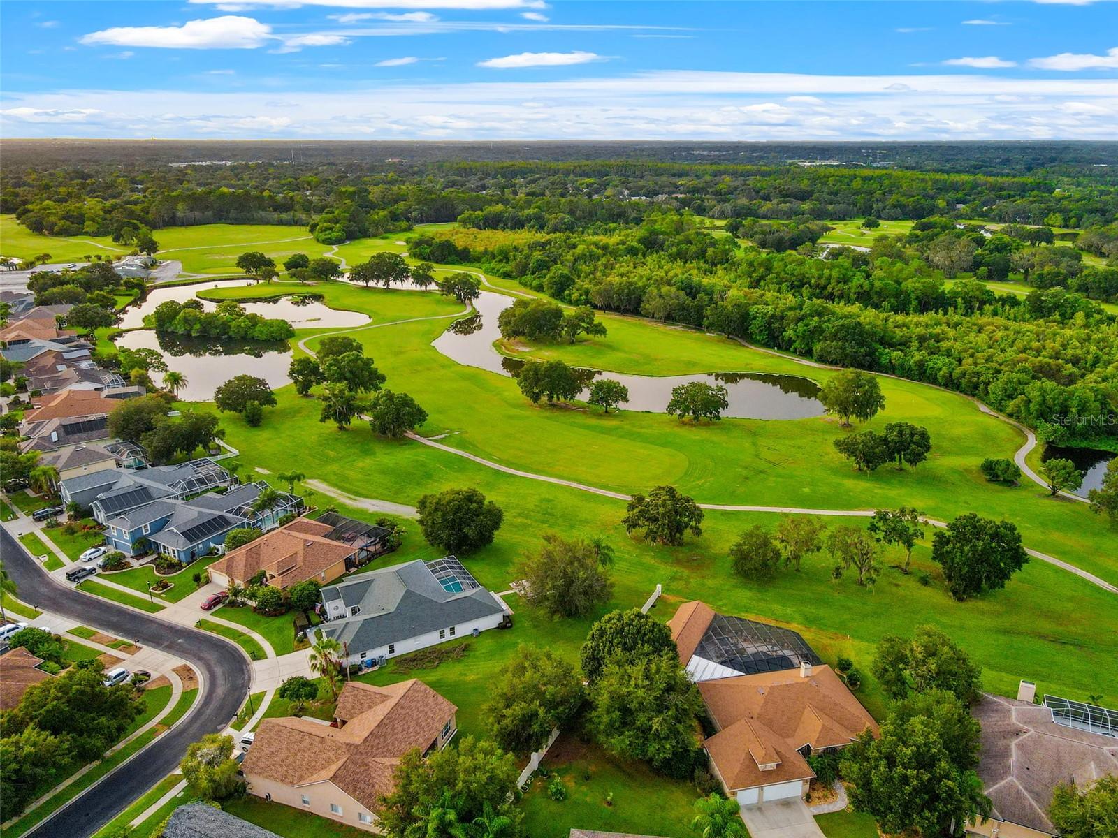 1525 CROOKED STICK DR, VALRICO, FL, 33596