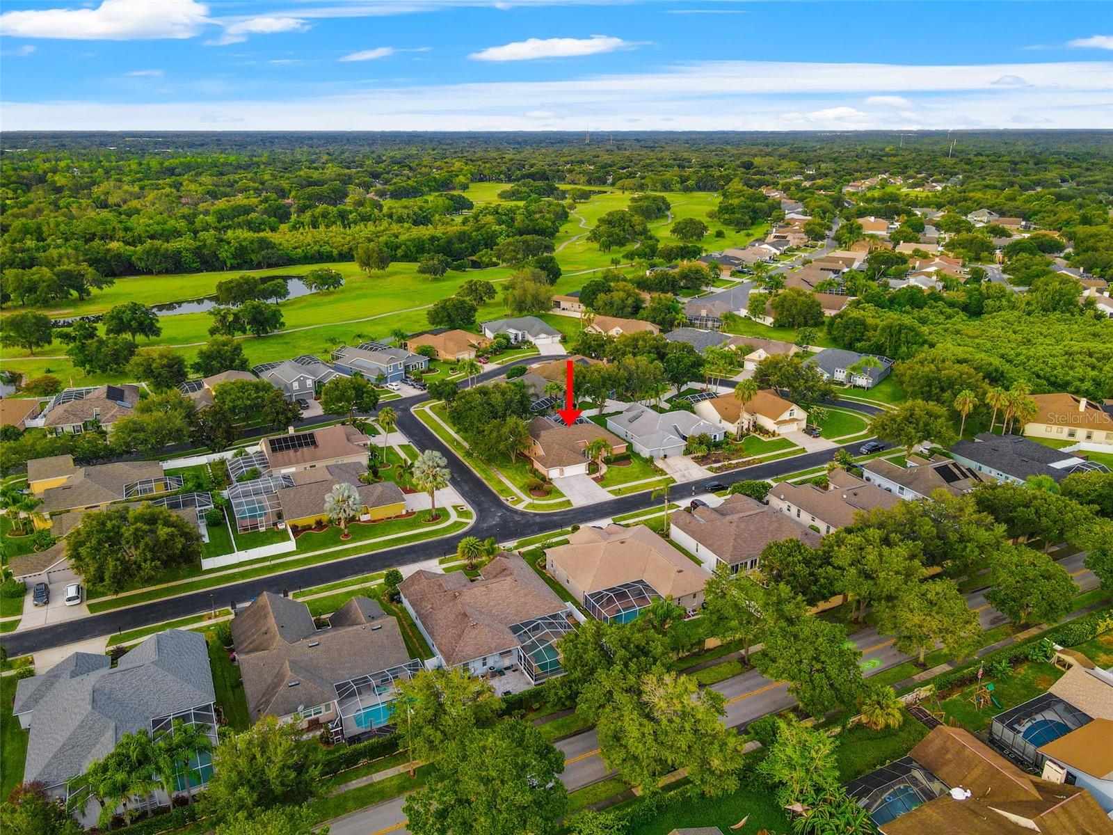 1525 CROOKED STICK DR, VALRICO, FL, 33596