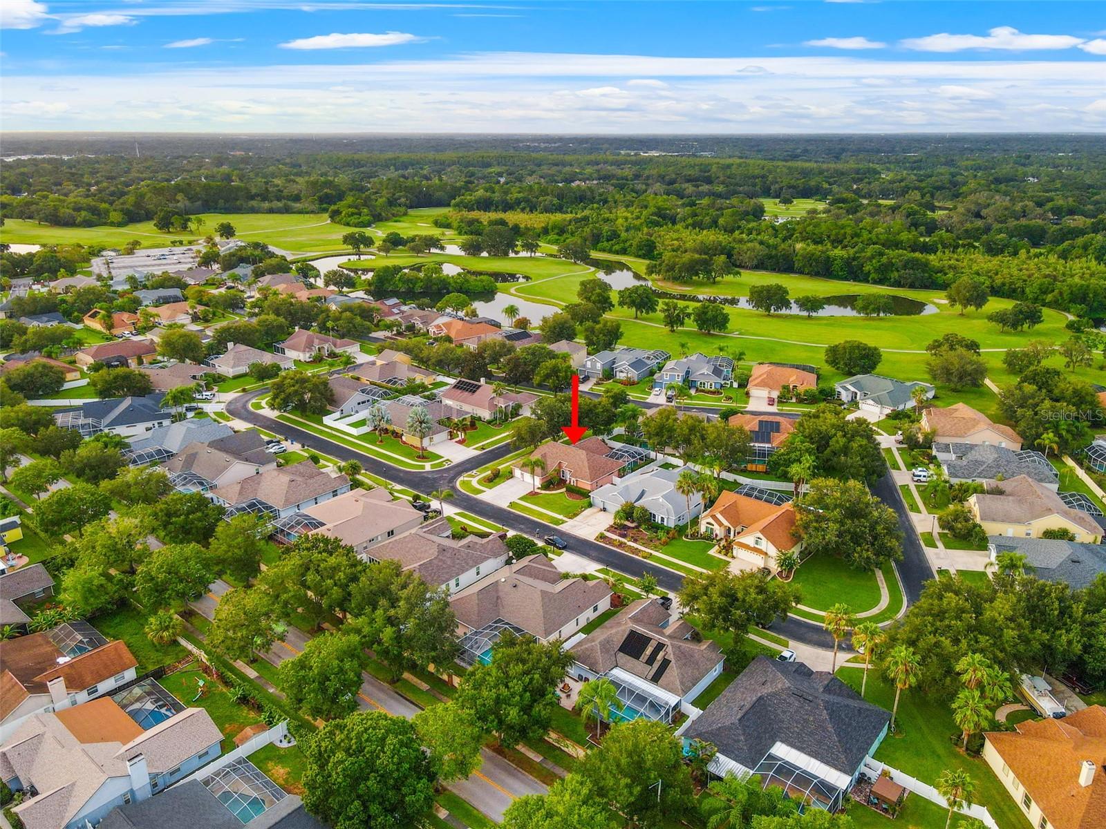 1525 CROOKED STICK DR, VALRICO, FL, 33596