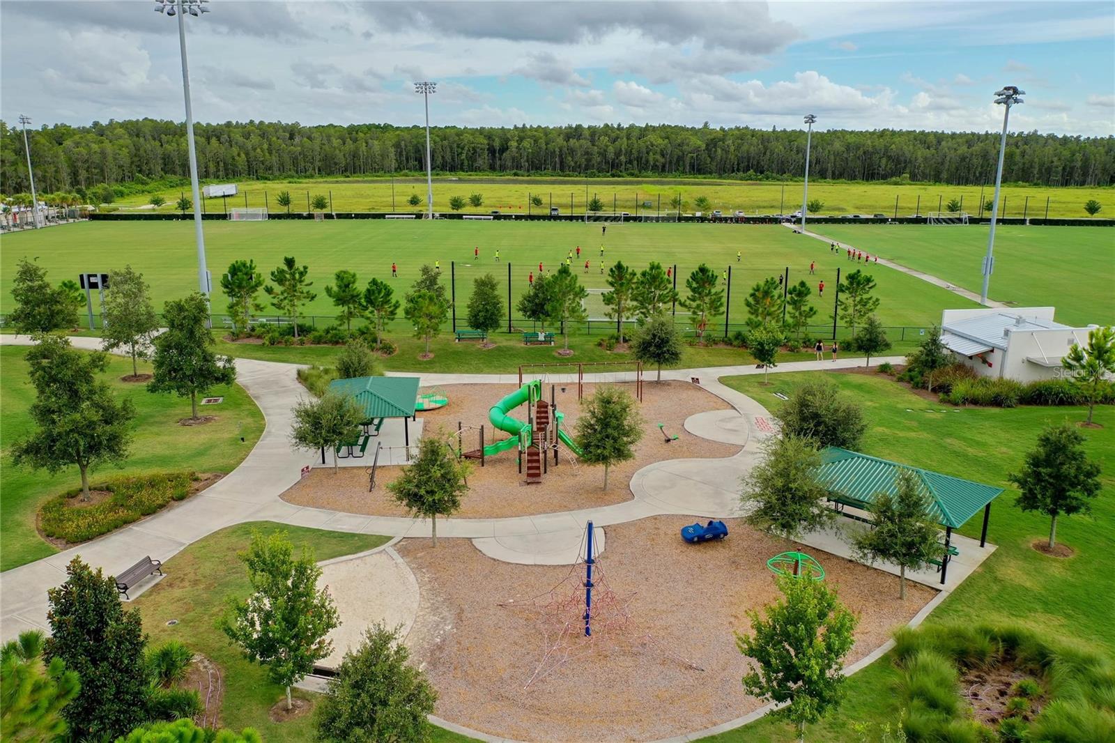 11826 GAVIN LN, ODESSA, FL, 33556