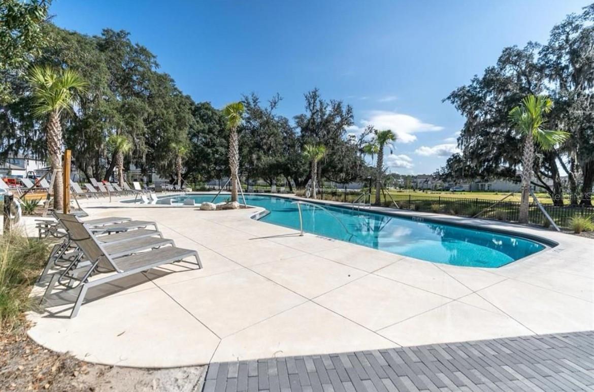 11826 GAVIN LN, ODESSA, FL, 33556