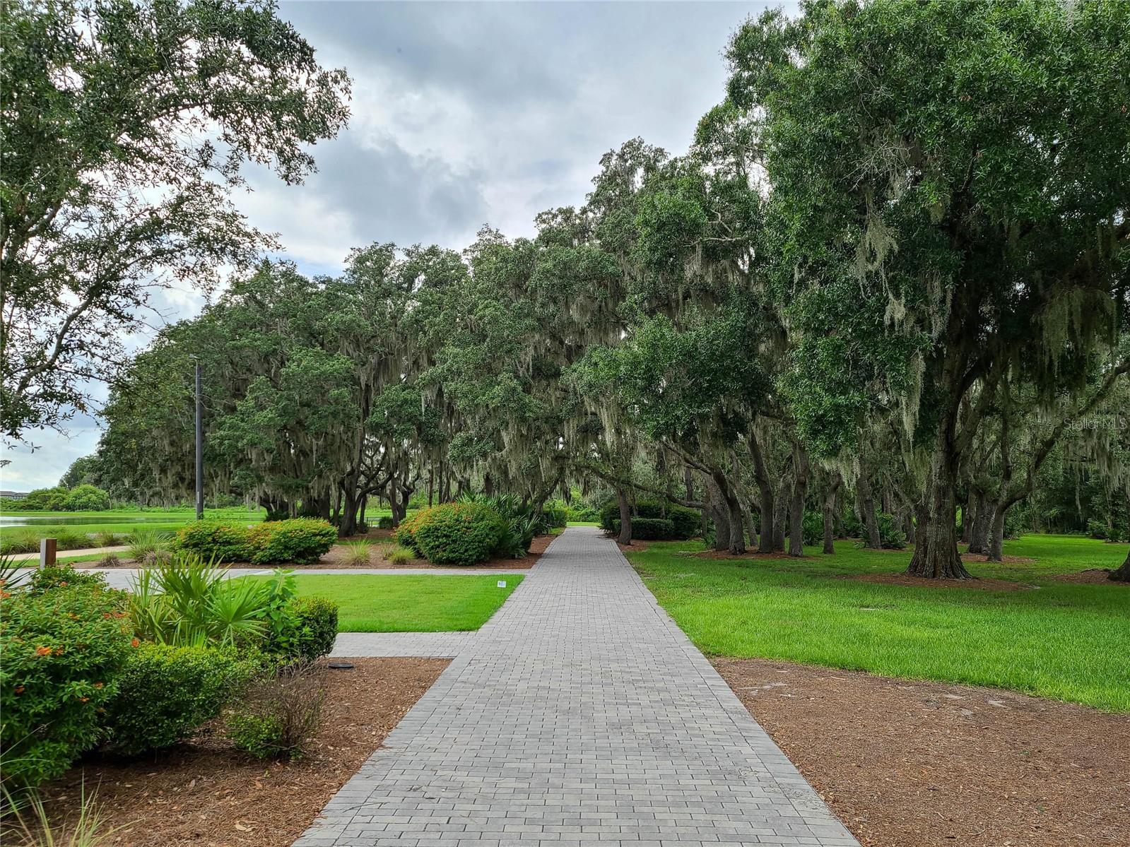 11826 GAVIN LN, ODESSA, FL, 33556