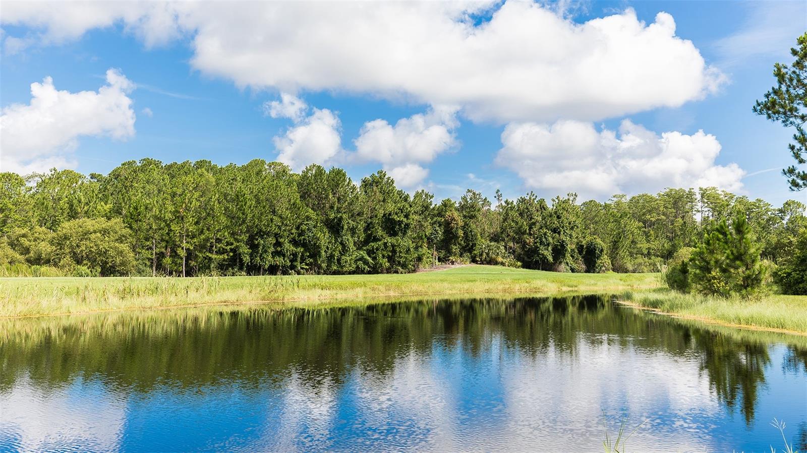 27 DIVOT PL, BUNNELL, FL, 32110