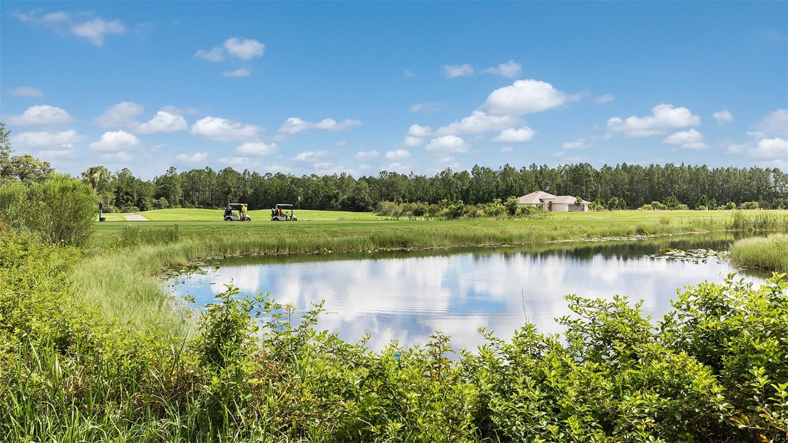 27 DIVOT PL, BUNNELL, FL, 32110