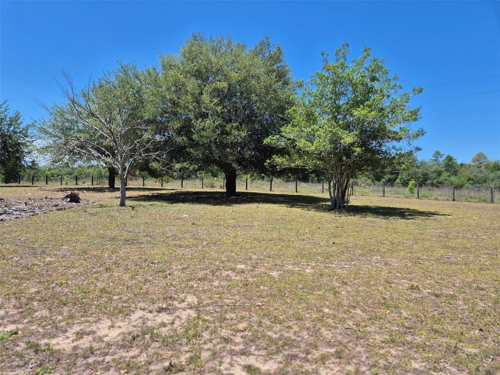 11651 NE 73RD LN, BRONSON, FL, 32621