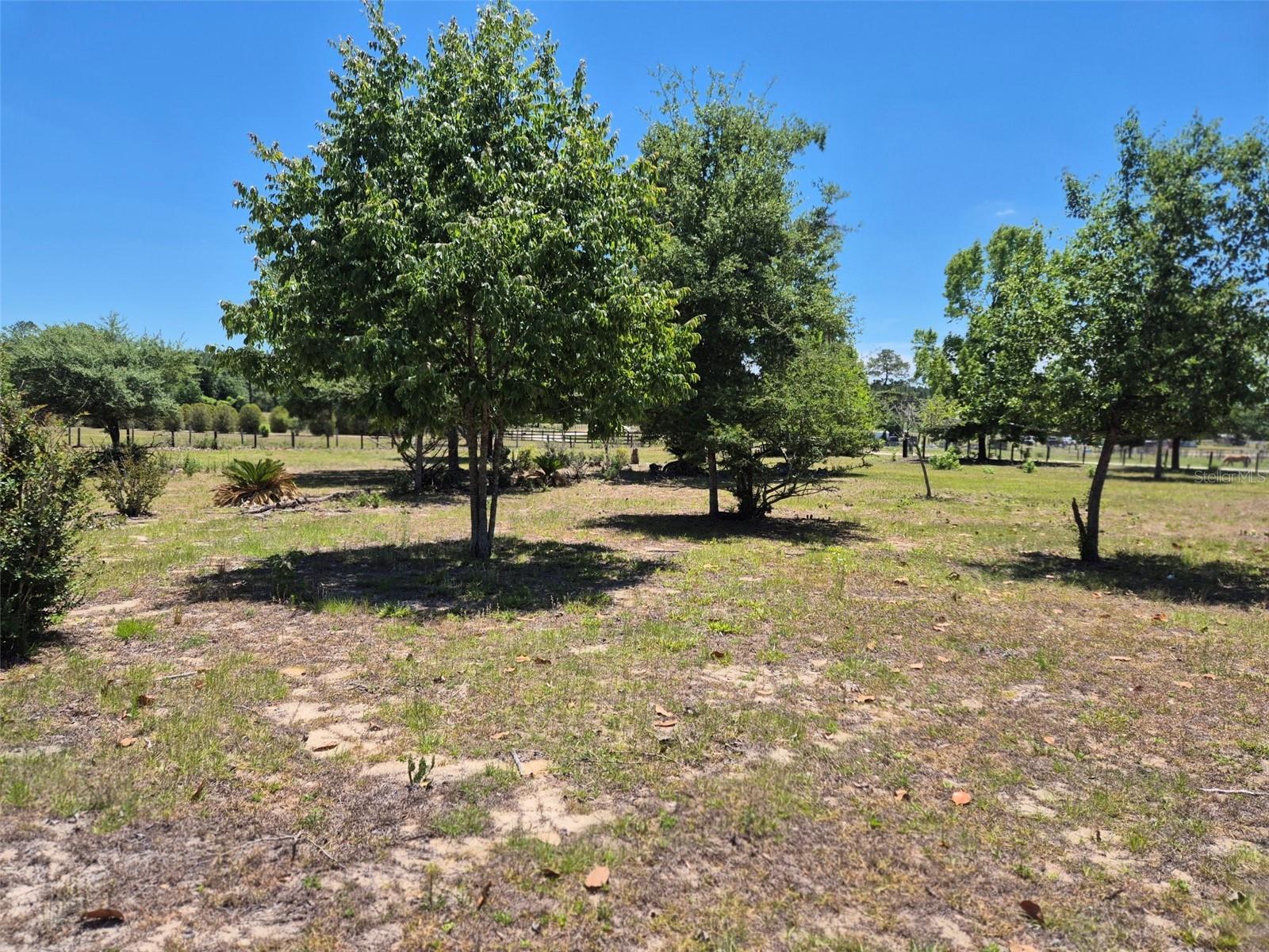 11651 NE 73RD LN, BRONSON, FL, 32621