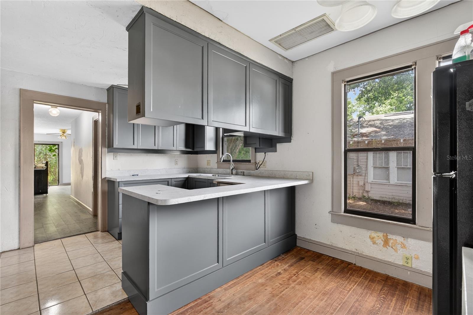 19 E MORNINGVIEW DR, EUSTIS, FL, 32726