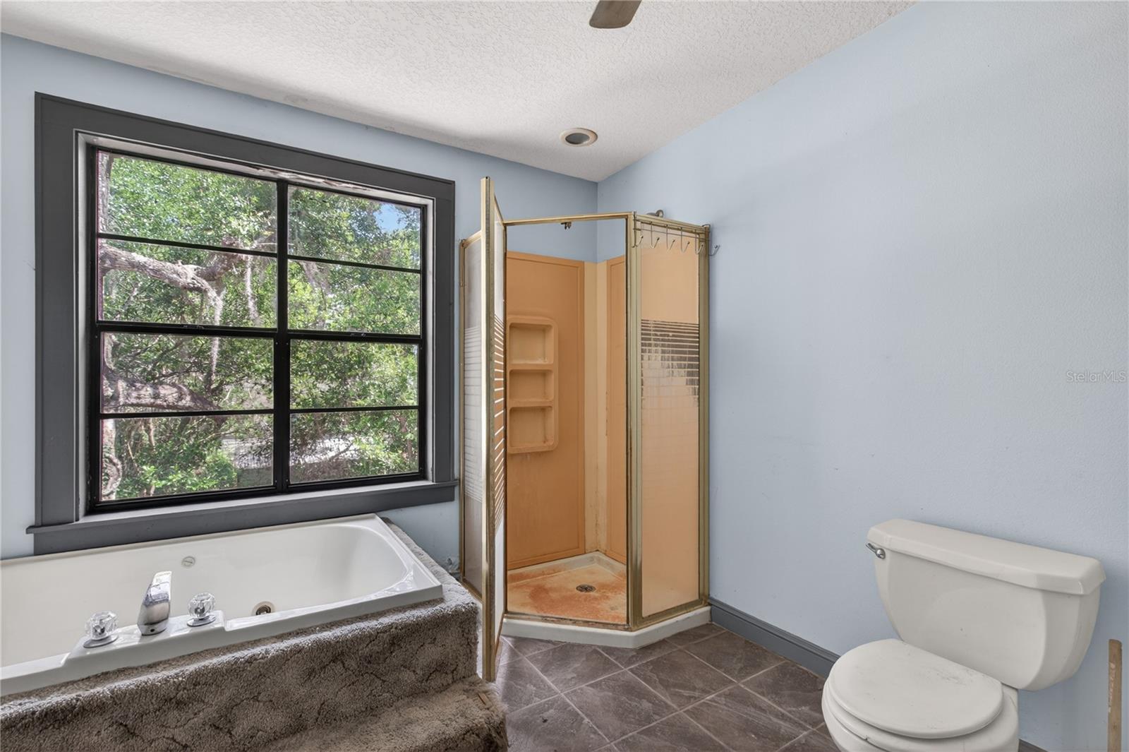 19 E MORNINGVIEW DR, EUSTIS, FL, 32726