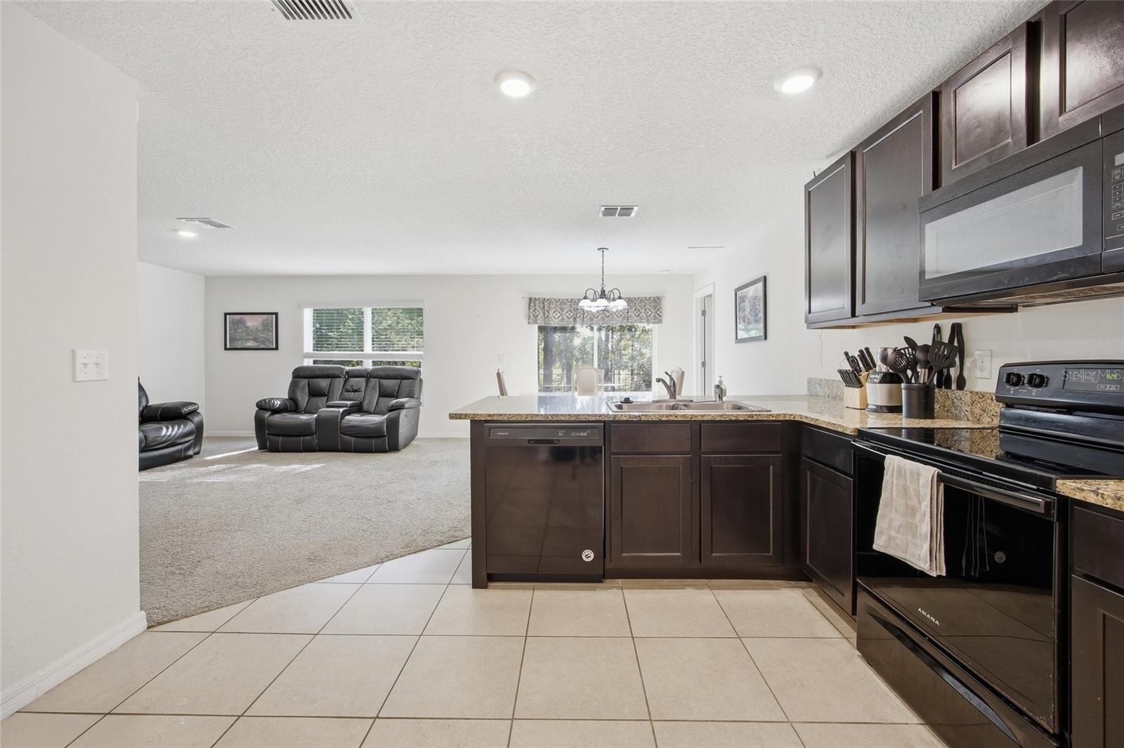 273 HICKORY COURSE RADL, OCALA, FL, 34472