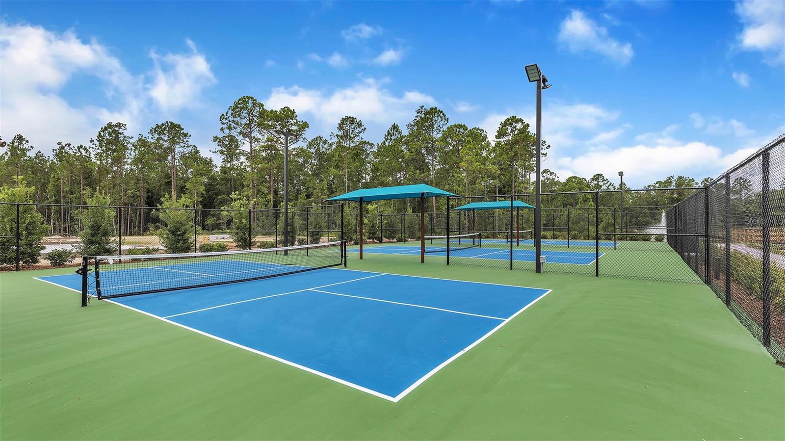 12 DIVOT PL, BUNNELL, FL, 32110