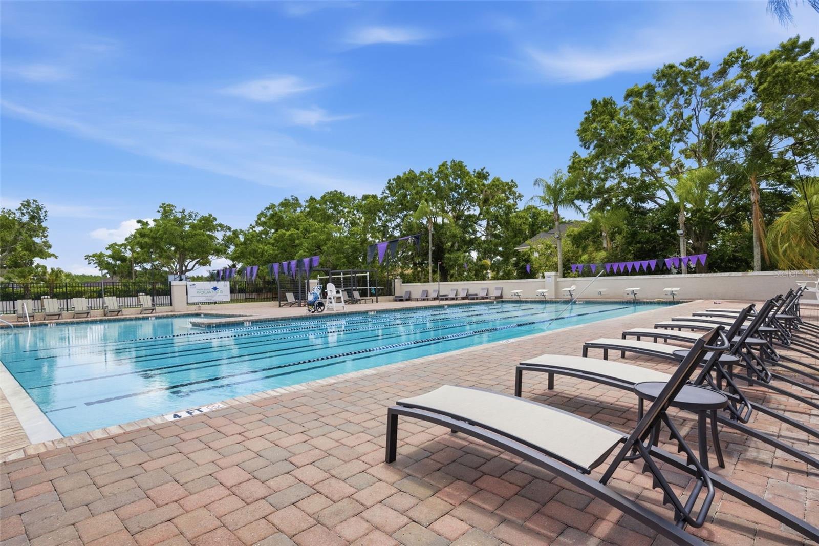 19115 SAINT EMILION CT, LUTZ, FL, 33558