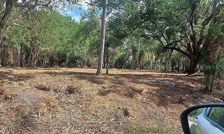 24614 TANGERINE AVE, PUNTA GORDA, FL, 33980