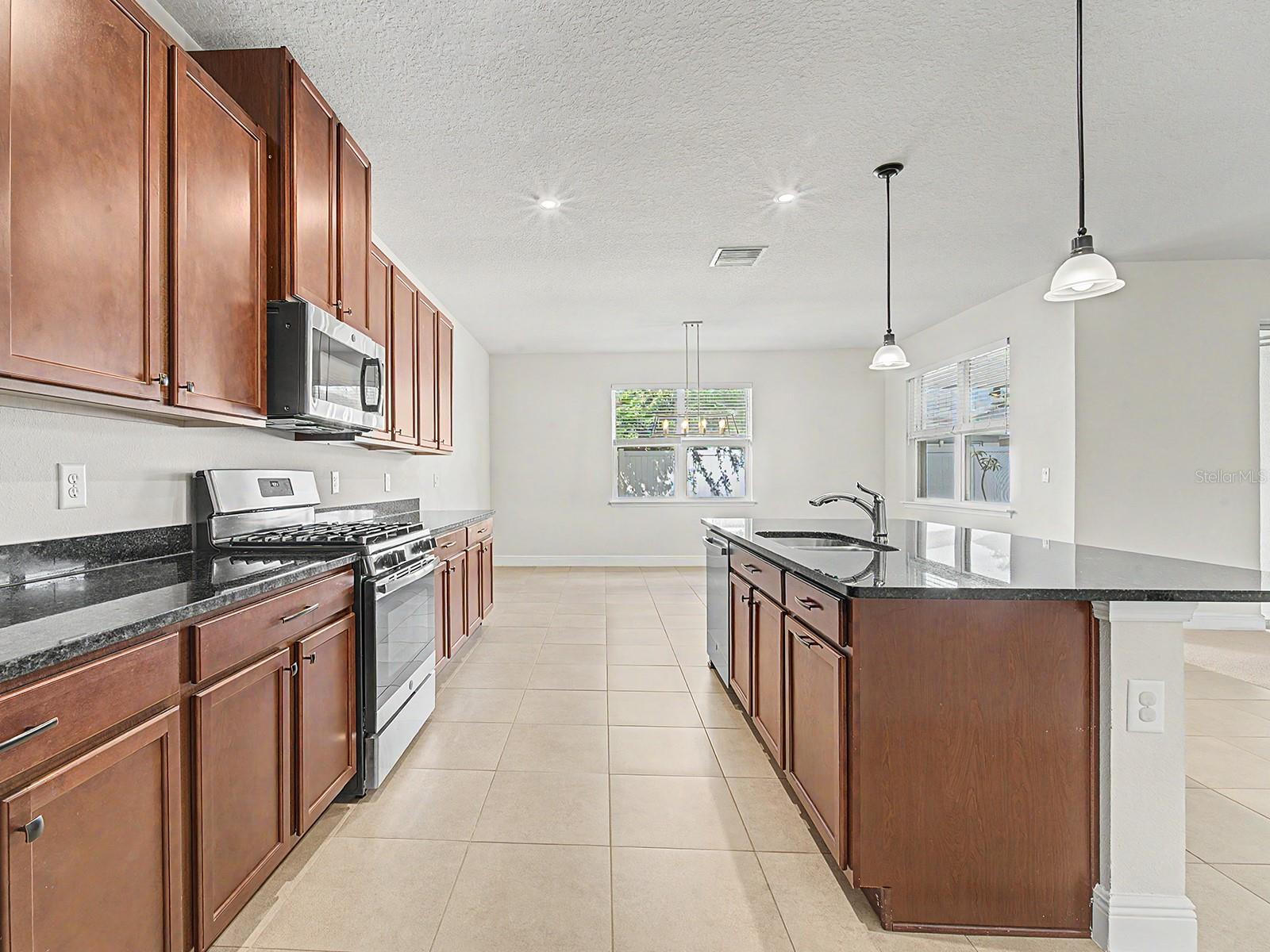 11626 LAKE LUCAYA DR, RIVERVIEW, FL, 33579