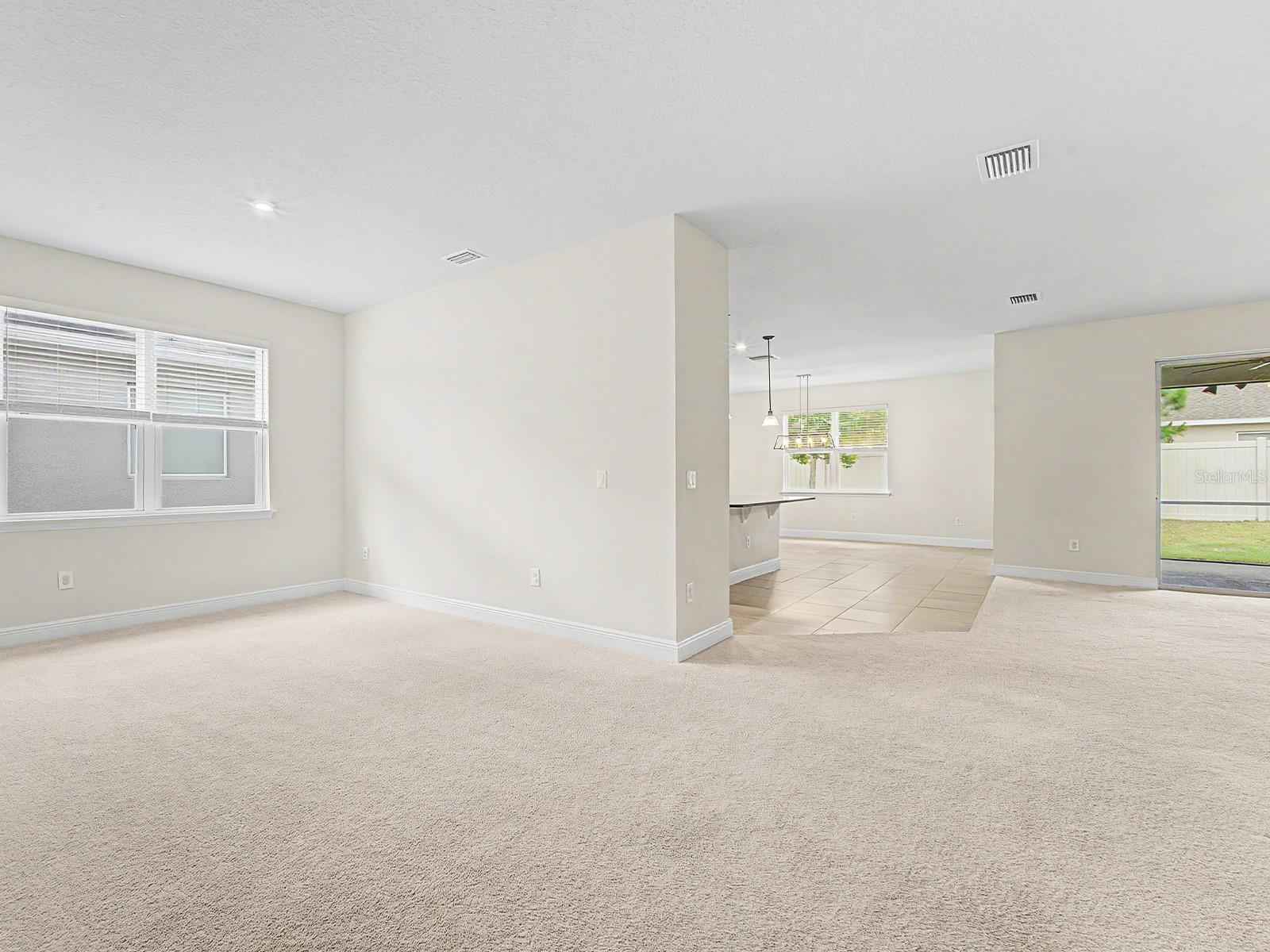 11626 LAKE LUCAYA DR, RIVERVIEW, FL, 33579