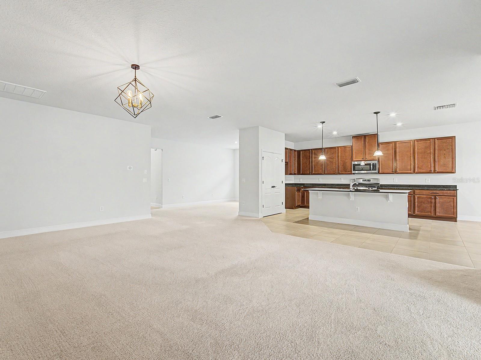 11626 LAKE LUCAYA DR, RIVERVIEW, FL, 33579