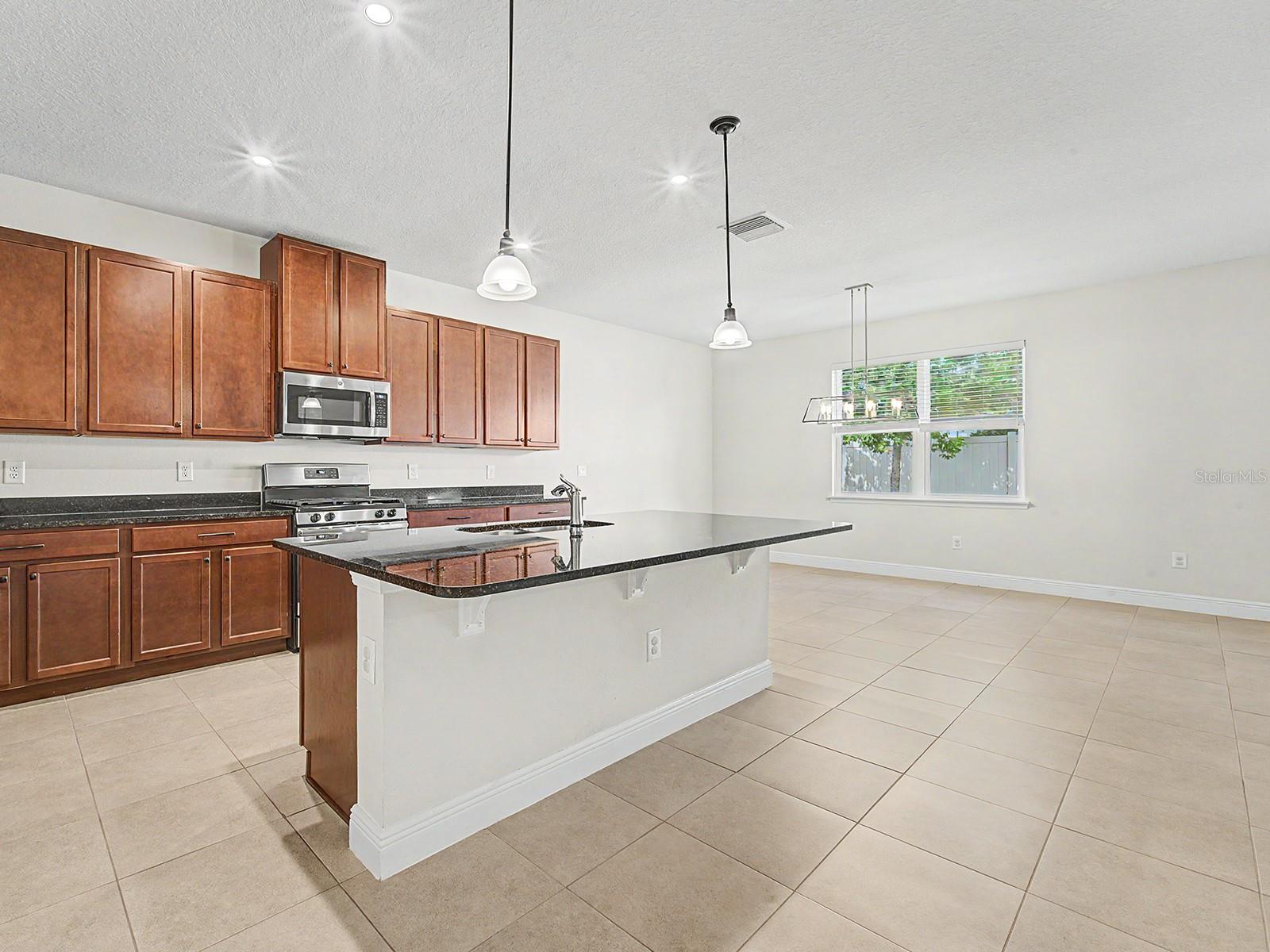 11626 LAKE LUCAYA DR, RIVERVIEW, FL, 33579