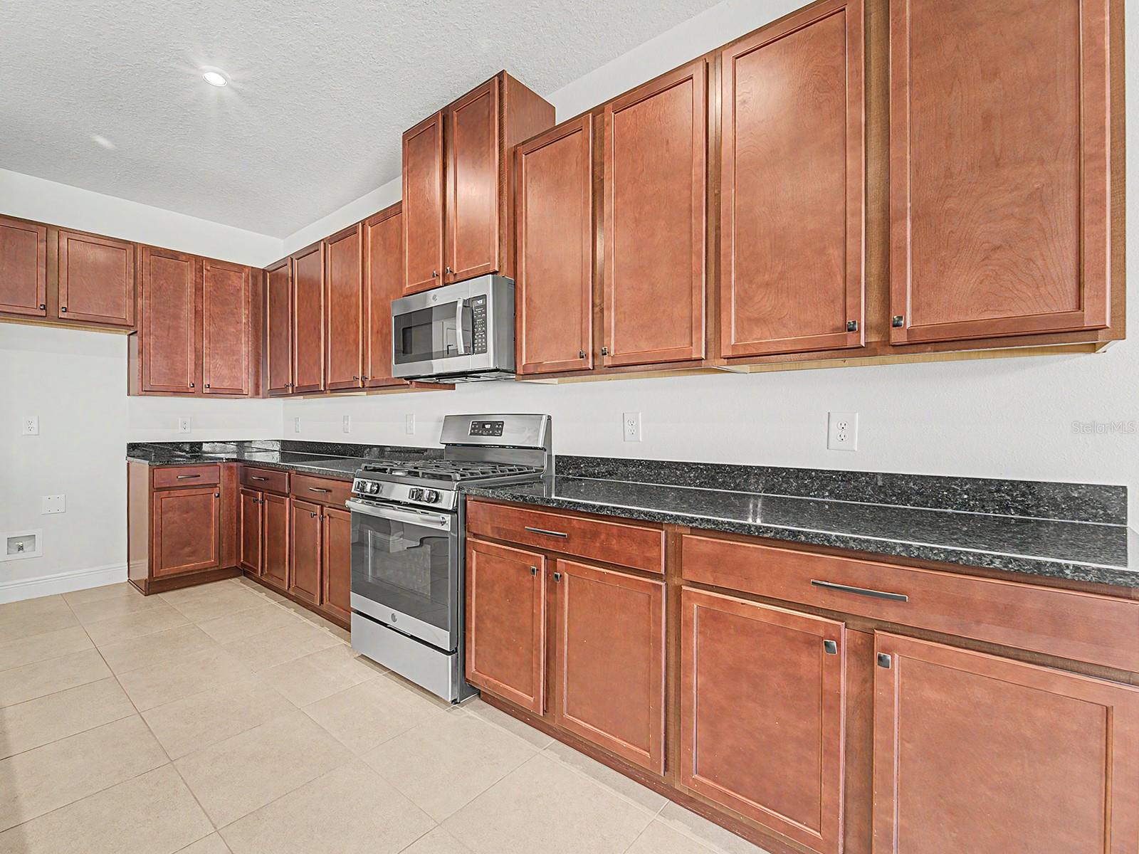 11626 LAKE LUCAYA DR, RIVERVIEW, FL, 33579