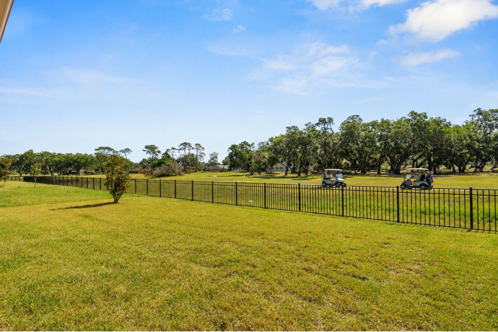 6398 BRADFORD WOODS DR, ZEPHYRHILLS, FL, 33542