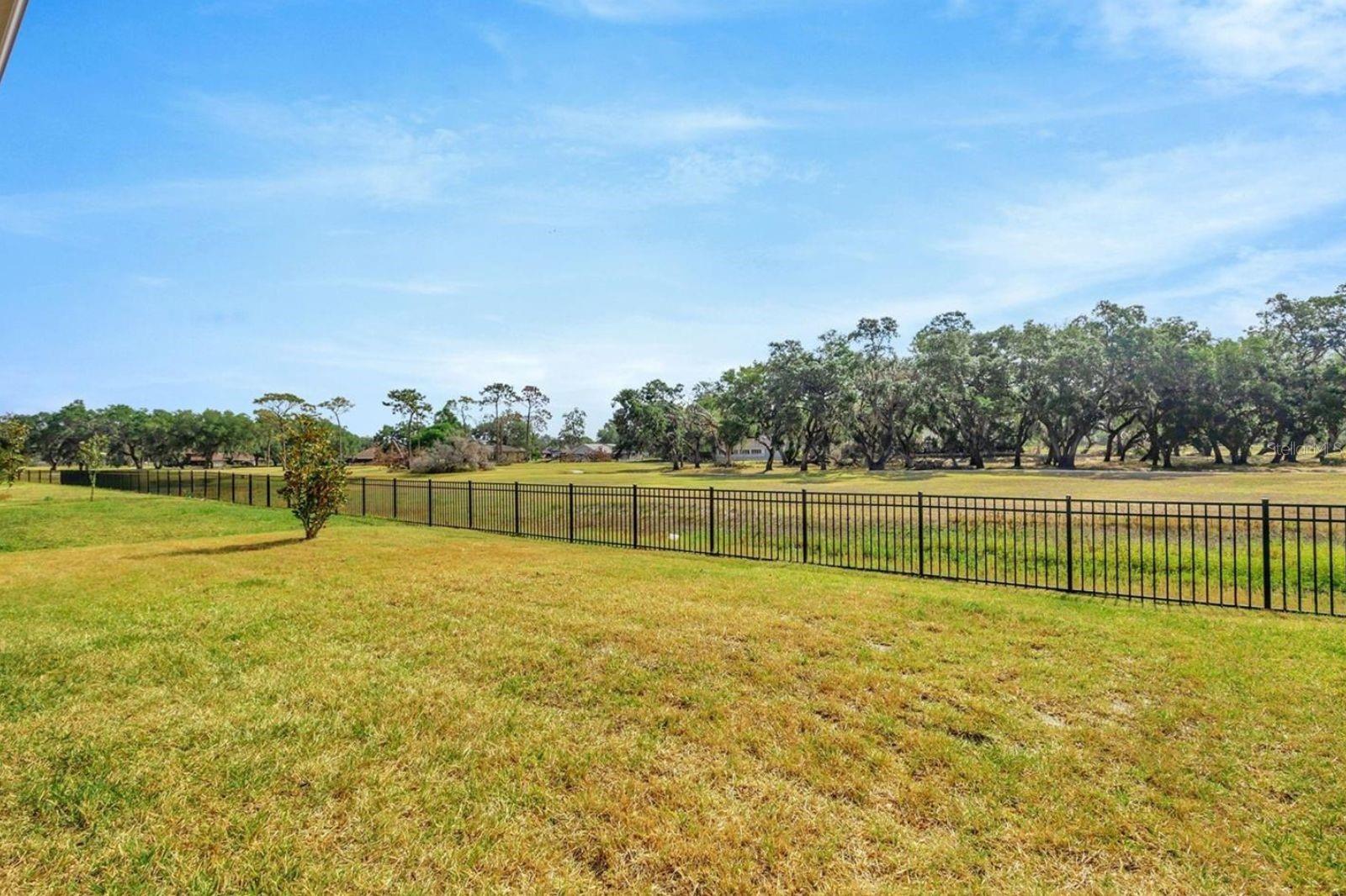 6398 BRADFORD WOODS DR, ZEPHYRHILLS, FL, 33542
