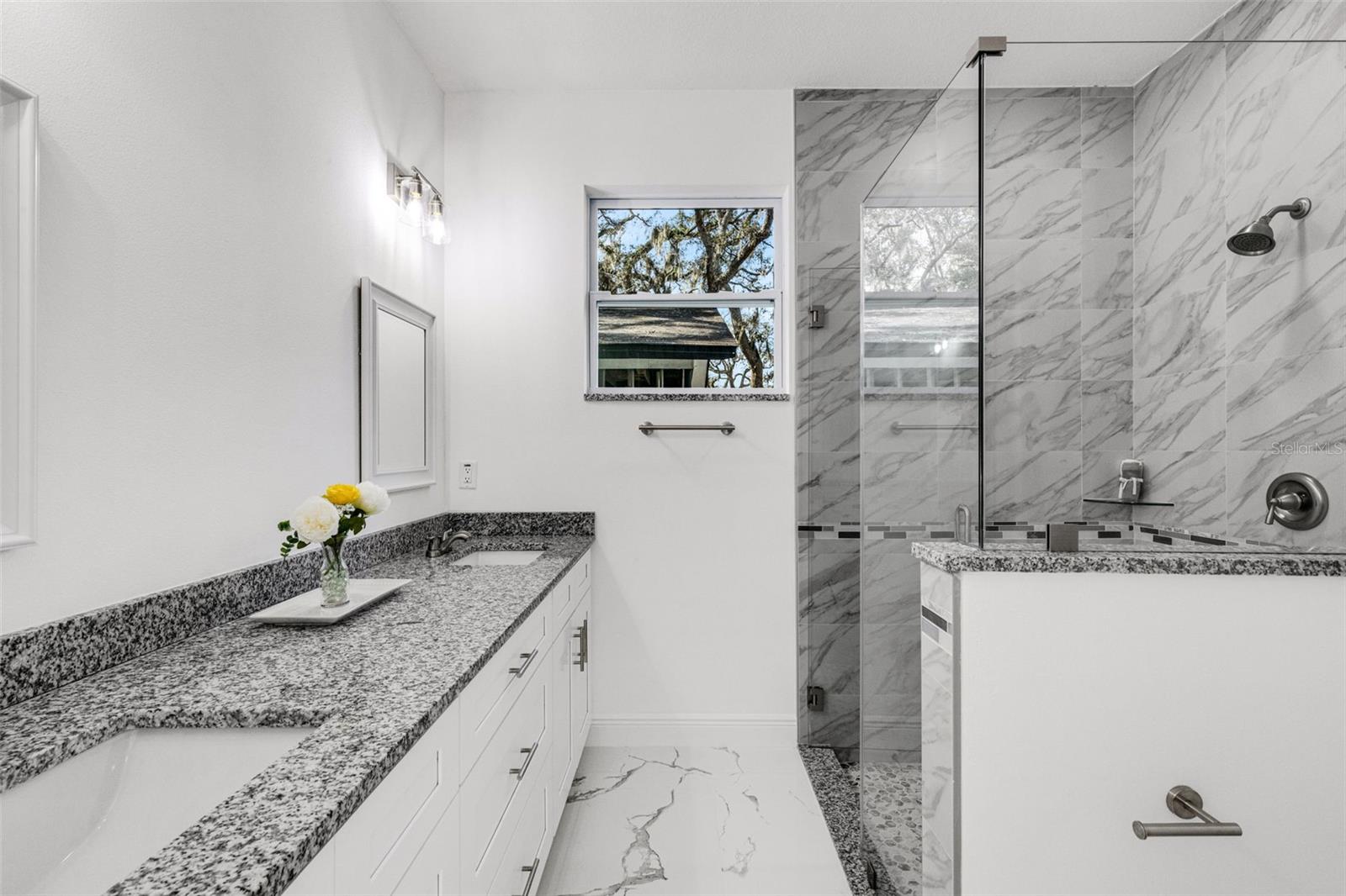806 W LOWRY LN, TAMPA, FL, 33604