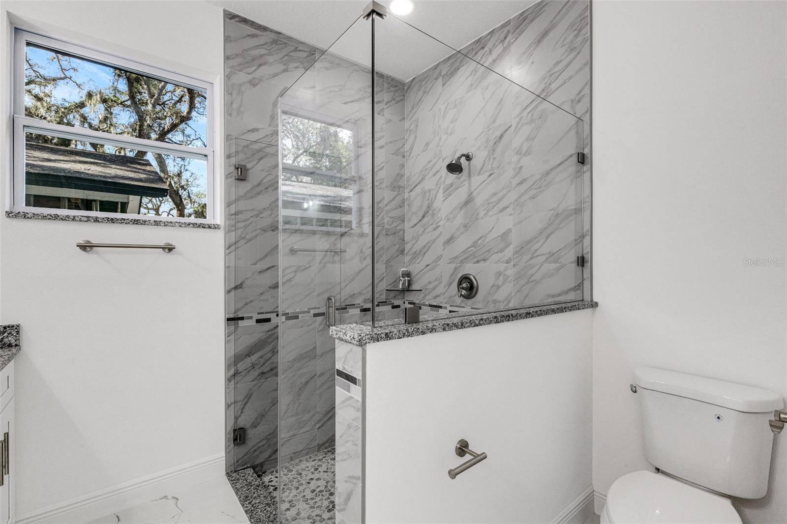 806 W LOWRY LN, TAMPA, FL, 33604