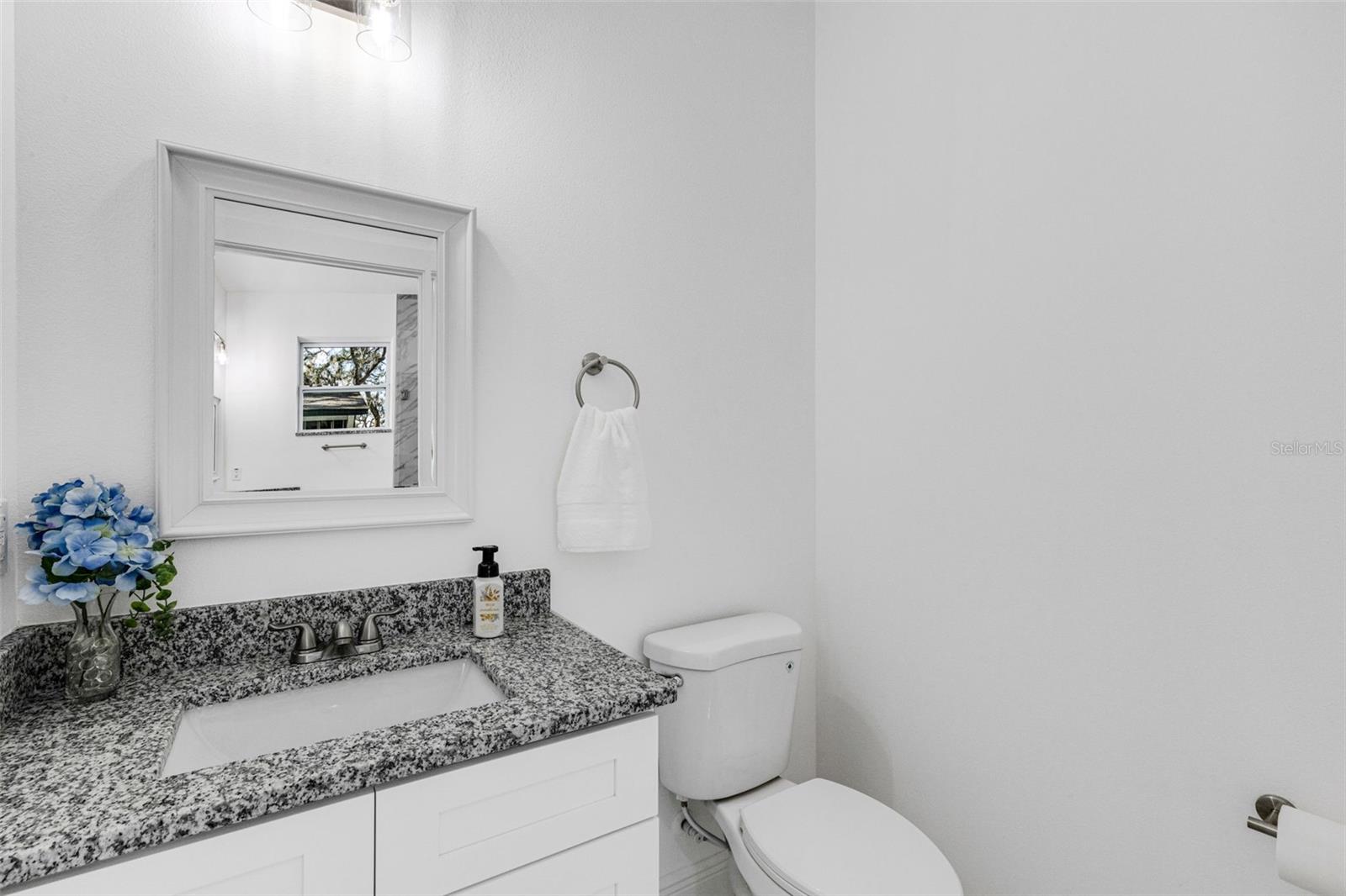 806 W LOWRY LN, TAMPA, FL, 33604
