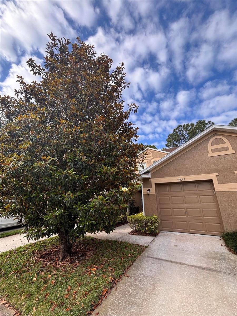 18842 DUQUESNE DR, TAMPA, FL, 33647