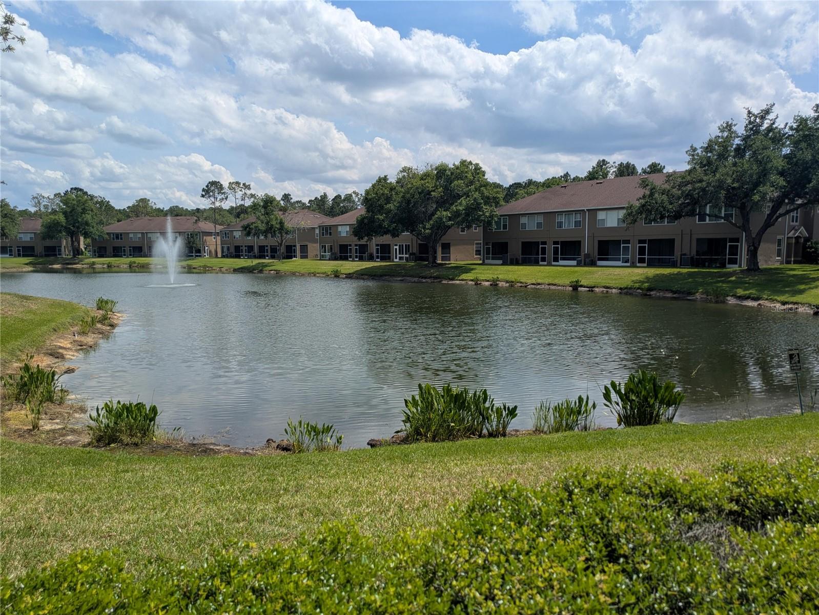 18842 DUQUESNE DR, TAMPA, FL, 33647