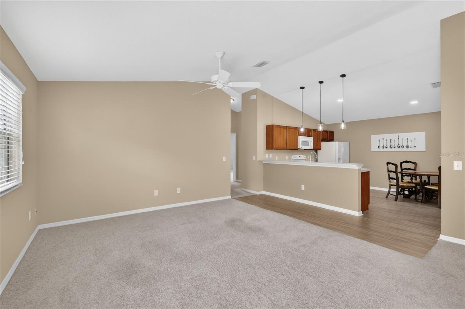 1858 ENDSLEY CT, THE VILLAGES, FL, 32162