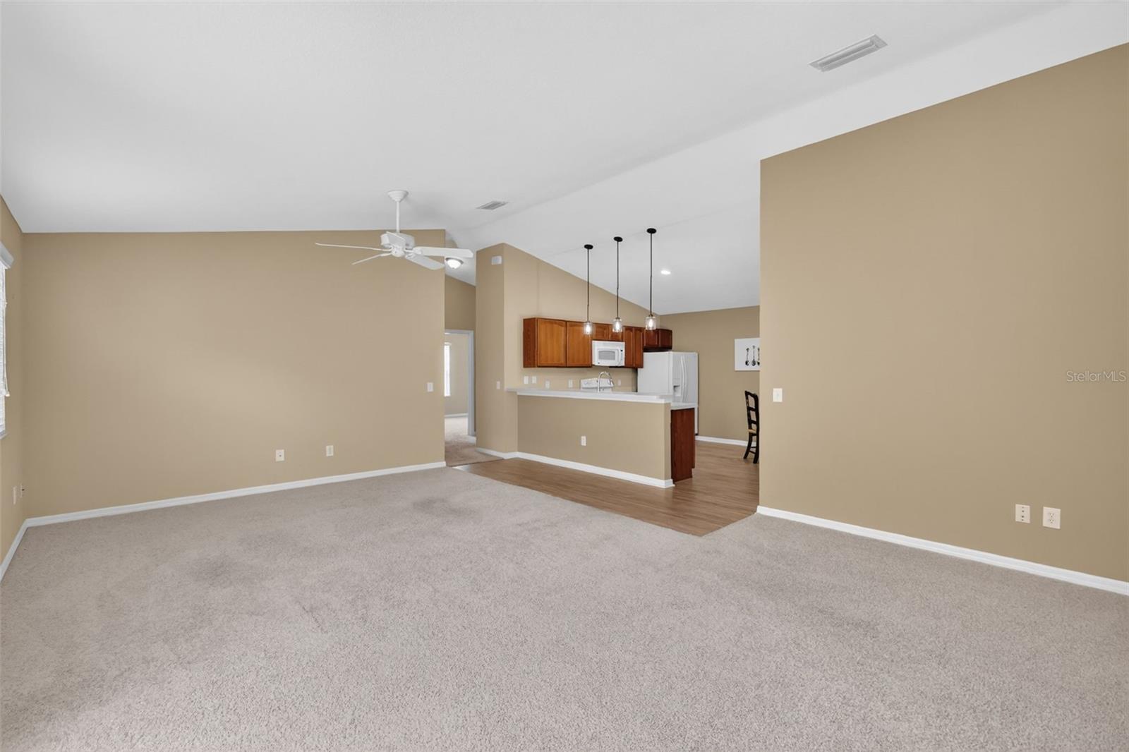 1858 ENDSLEY CT, THE VILLAGES, FL, 32162